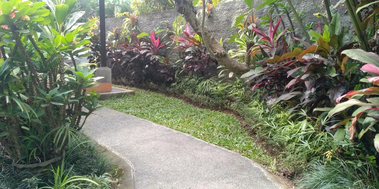 Dedik House Villa อูบุด ภายนอก รูปภาพ